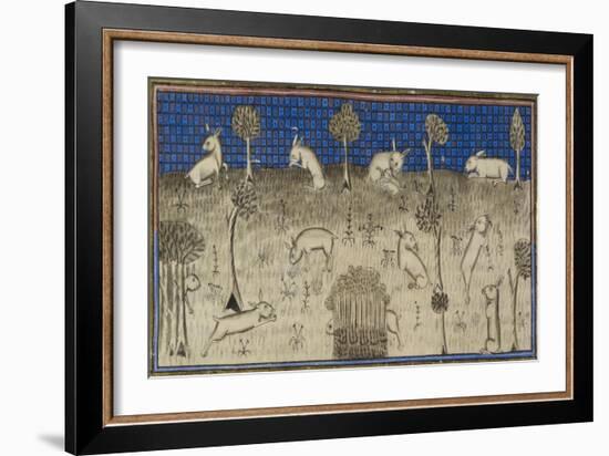 Rabbits Feeding and Moving About-Febus de Foiz-Framed Giclee Print