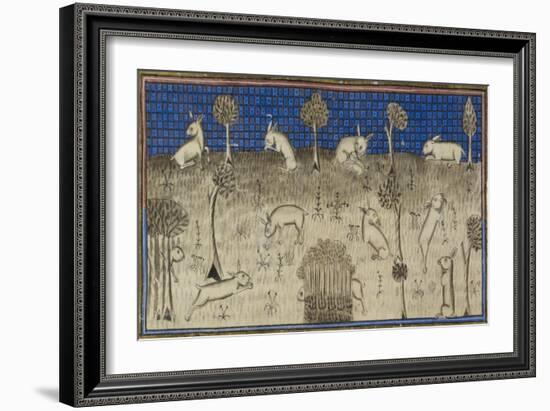 Rabbits Feeding and Moving About-Febus de Foiz-Framed Giclee Print