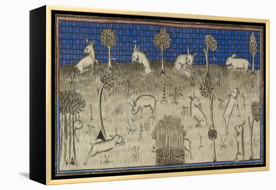 Rabbits Feeding and Moving About-Febus de Foiz-Framed Premier Image Canvas