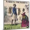 Rabbits! Fine Rabbits!, Cries of London, C1840-TH Jones-Mounted Giclee Print