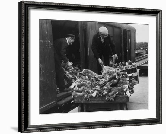 Rabbits for Market-null-Framed Photographic Print