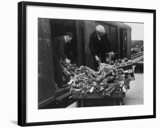 Rabbits for Market-null-Framed Photographic Print