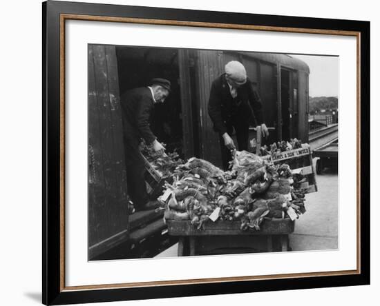 Rabbits for Market-null-Framed Photographic Print