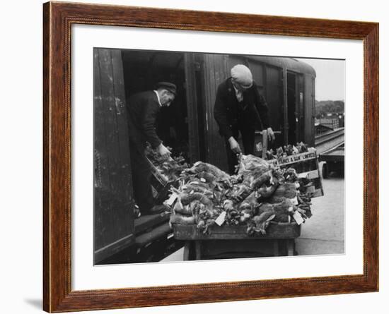 Rabbits for Market-null-Framed Photographic Print