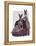 Rabbits in Purple-Fab Funky-Framed Stretched Canvas