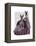 Rabbits in Purple-Fab Funky-Framed Stretched Canvas