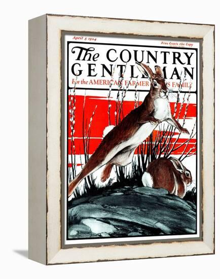 "Rabbits in Pussy Willows," Country Gentleman Cover, April 5, 1924-Paul Bransom-Framed Premier Image Canvas