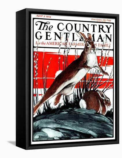 "Rabbits in Pussy Willows," Country Gentleman Cover, April 5, 1924-Paul Bransom-Framed Premier Image Canvas