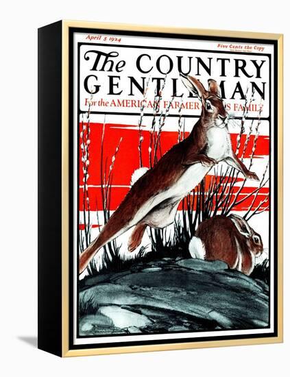 "Rabbits in Pussy Willows," Country Gentleman Cover, April 5, 1924-Paul Bransom-Framed Premier Image Canvas