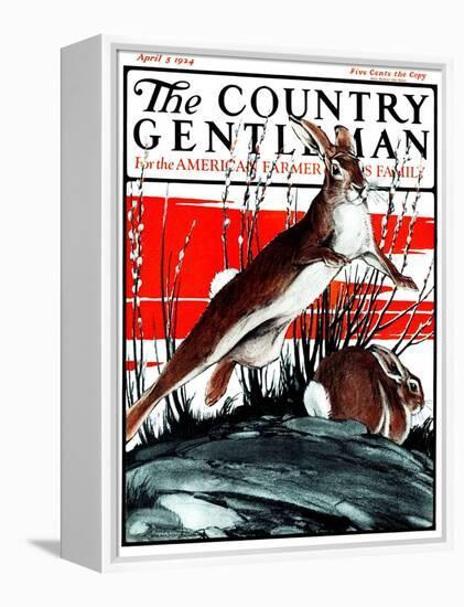 "Rabbits in Pussy Willows," Country Gentleman Cover, April 5, 1924-Paul Bransom-Framed Premier Image Canvas