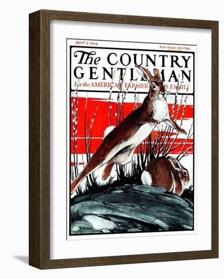 "Rabbits in Pussy Willows," Country Gentleman Cover, April 5, 1924-Paul Bransom-Framed Giclee Print