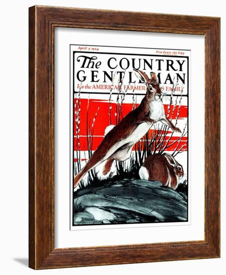 "Rabbits in Pussy Willows," Country Gentleman Cover, April 5, 1924-Paul Bransom-Framed Giclee Print