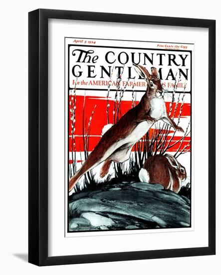 "Rabbits in Pussy Willows," Country Gentleman Cover, April 5, 1924-Paul Bransom-Framed Giclee Print