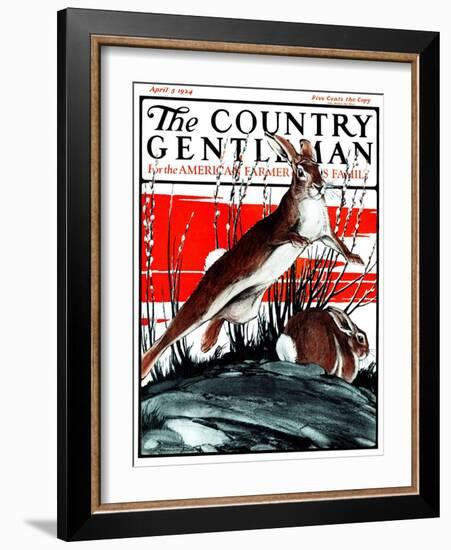 "Rabbits in Pussy Willows," Country Gentleman Cover, April 5, 1924-Paul Bransom-Framed Giclee Print