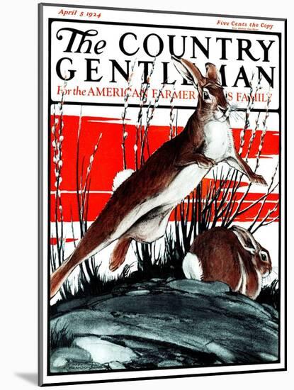 "Rabbits in Pussy Willows," Country Gentleman Cover, April 5, 1924-Paul Bransom-Mounted Giclee Print