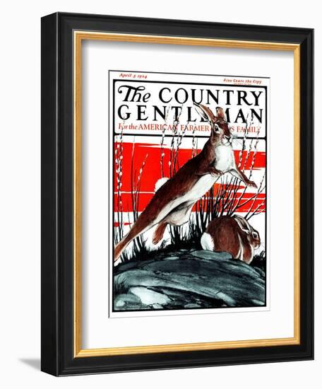 "Rabbits in Pussy Willows," Country Gentleman Cover, April 5, 1924-Paul Bransom-Framed Giclee Print