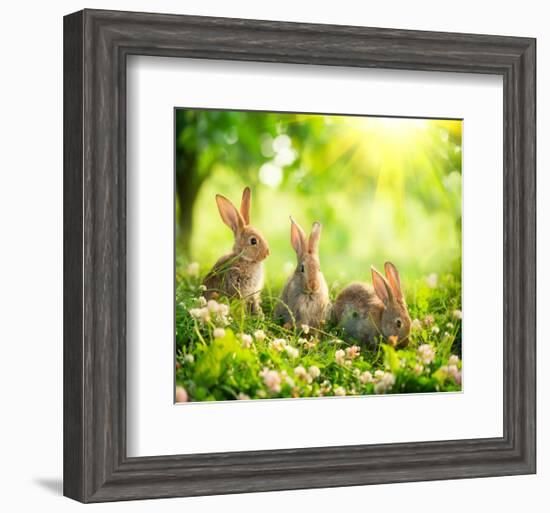 Rabbits Sunny Flower Meadow-null-Framed Art Print