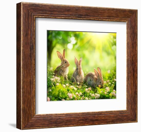 Rabbits Sunny Flower Meadow--Framed Art Print
