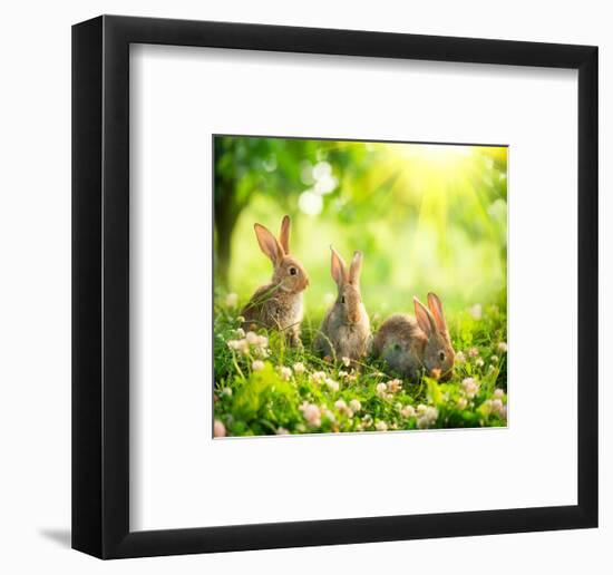 Rabbits Sunny Flower Meadow-null-Framed Art Print