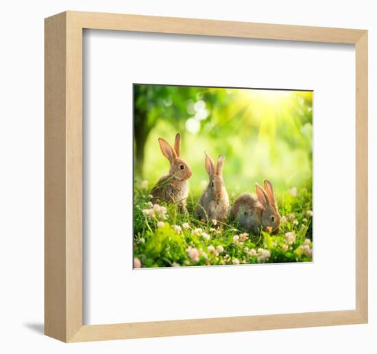 Rabbits Sunny Flower Meadow-null-Framed Art Print