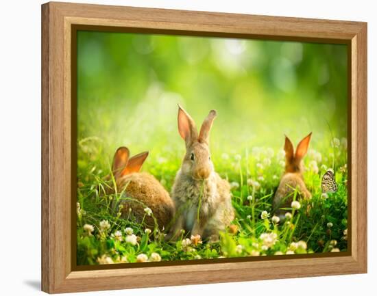 Rabbits-Subbotina Anna-Framed Premier Image Canvas