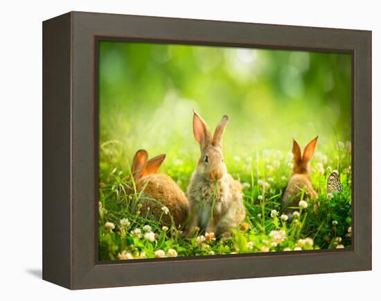Rabbits-Subbotina Anna-Framed Premier Image Canvas