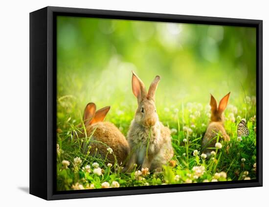 Rabbits-Subbotina Anna-Framed Premier Image Canvas