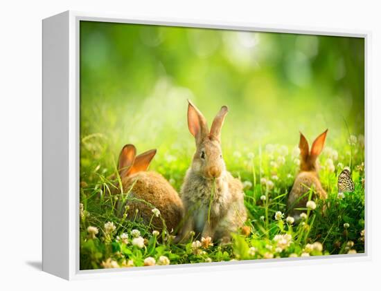 Rabbits-Subbotina Anna-Framed Premier Image Canvas