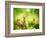 Rabbits-Subbotina Anna-Framed Photographic Print