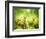 Rabbits-Subbotina Anna-Framed Photographic Print