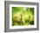 Rabbits-Subbotina Anna-Framed Photographic Print