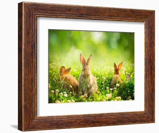 Rabbits-Subbotina Anna-Framed Photographic Print