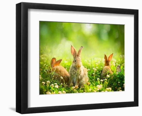 Rabbits-Subbotina Anna-Framed Photographic Print