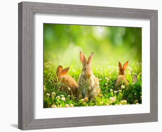 Rabbits-Subbotina Anna-Framed Photographic Print