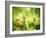 Rabbits-Subbotina Anna-Framed Photographic Print