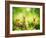 Rabbits-Subbotina Anna-Framed Photographic Print