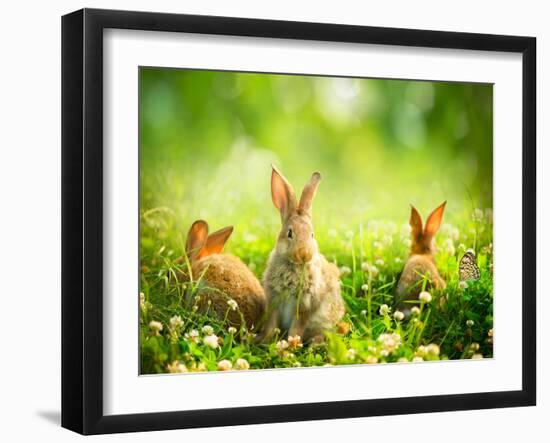 Rabbits-Subbotina Anna-Framed Photographic Print