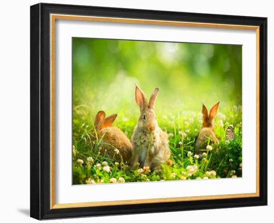 Rabbits-Subbotina Anna-Framed Photographic Print