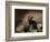 Rabbits-Joseph Thomas Wilson-Framed Giclee Print