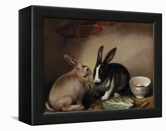 Rabbits-Joseph Thomas Wilson-Framed Premier Image Canvas