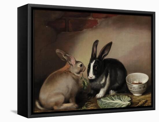 Rabbits-Joseph Thomas Wilson-Framed Premier Image Canvas