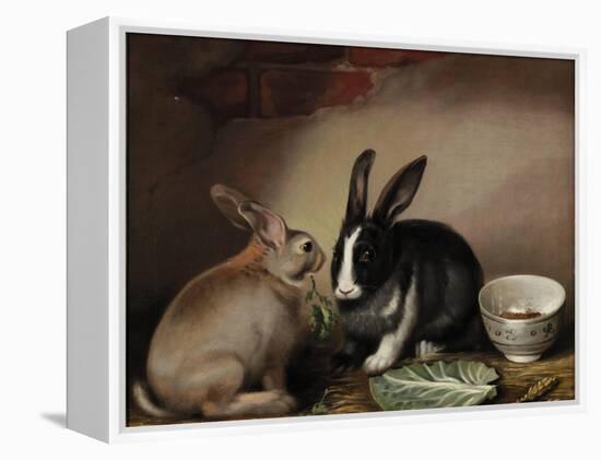 Rabbits-Joseph Thomas Wilson-Framed Premier Image Canvas