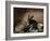 Rabbits-Joseph Thomas Wilson-Framed Giclee Print