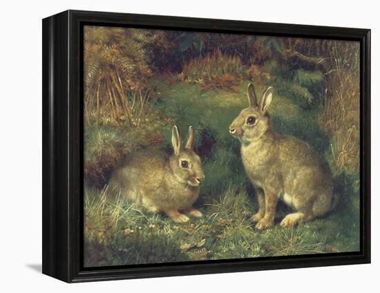 Rabbits-Henry Carter-Framed Premier Image Canvas