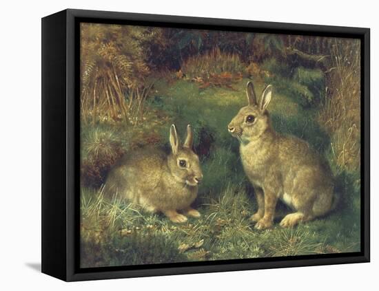 Rabbits-Henry Carter-Framed Premier Image Canvas