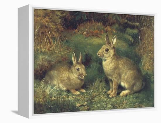 Rabbits-Henry Carter-Framed Premier Image Canvas