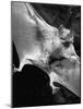 Rabid Male Vampire Bat-J^ R^ Eyerman-Mounted Photographic Print