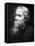 Rabindranath Tagore (1861-194), Indian Philosopher and Poet, C1930-1941-null-Framed Premier Image Canvas