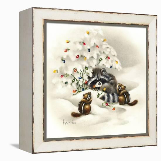 Raccoon, Chipmunks and Christmas Lights-Peggy Harris-Framed Premier Image Canvas