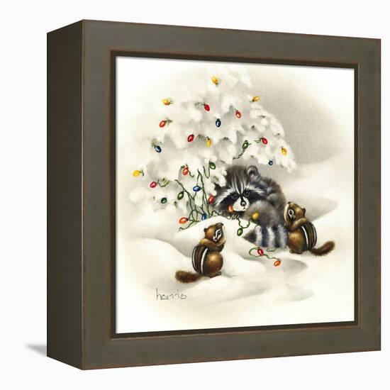 Raccoon, Chipmunks and Christmas Lights-Peggy Harris-Framed Premier Image Canvas